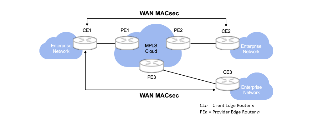 WAN MACsec security for Ethernet over MPLS (EoMPLS)
