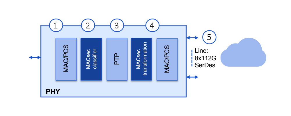 Use Case: Securing 800G Multi-Port PHY - MACsec