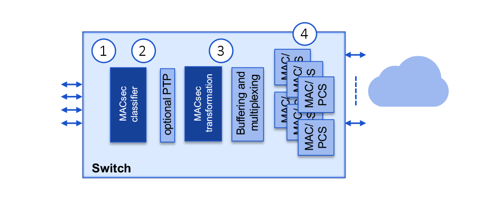 Use Case: Securing Terabit Switch - MACsec