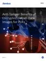 Anti-Tamper Benefits of Encrypted Helper-Data Images for PUFs thumbnail