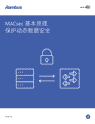 MACsec 基本原理：保护动态数据安全