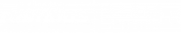 Rambus- RDS22-Logo2-white